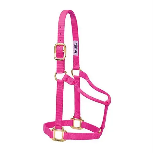 Original Non-Adjustable Halter 1" - Yearling Diva Pink 1