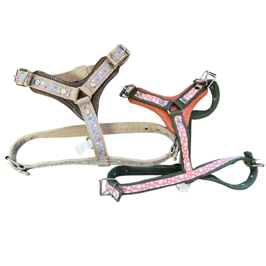Economy Dog Harness With Leather - Pechera Para Perro - Medium 1