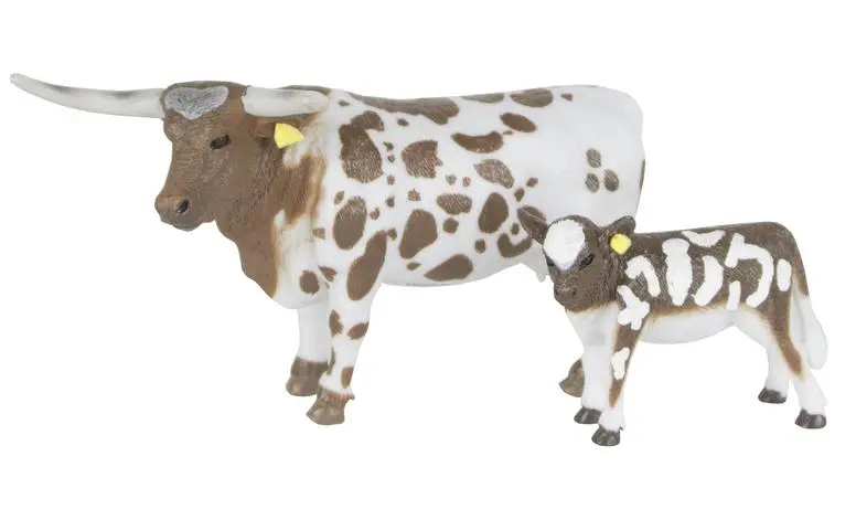 Longhorn Cow & Calf 1