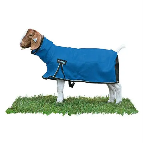 Procool Goat Blanket With Reflective Piping Mesh Butt - Small- Blue 1