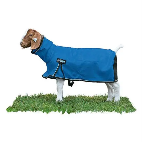 Procool Goat Blanket With Reflective Piping - Large Blue 1