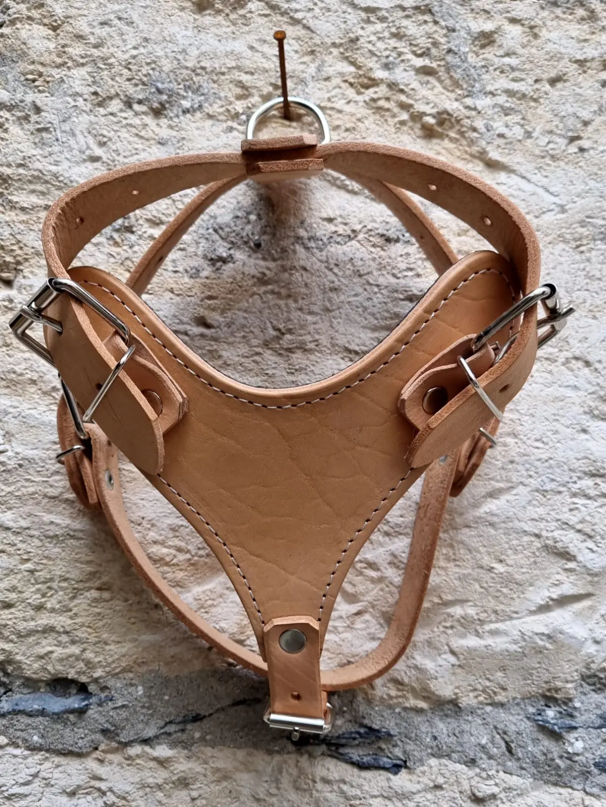 Medium- Leather Harness For Dogs - Light Oil 1