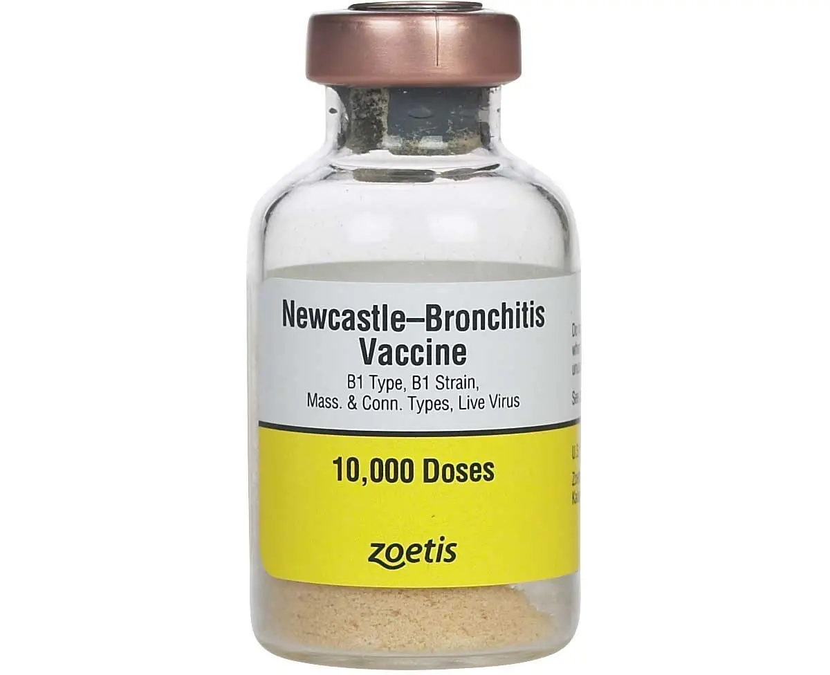 Newcastle Bronchitis B1, Mass. & Conn. 10,000 Dose 1