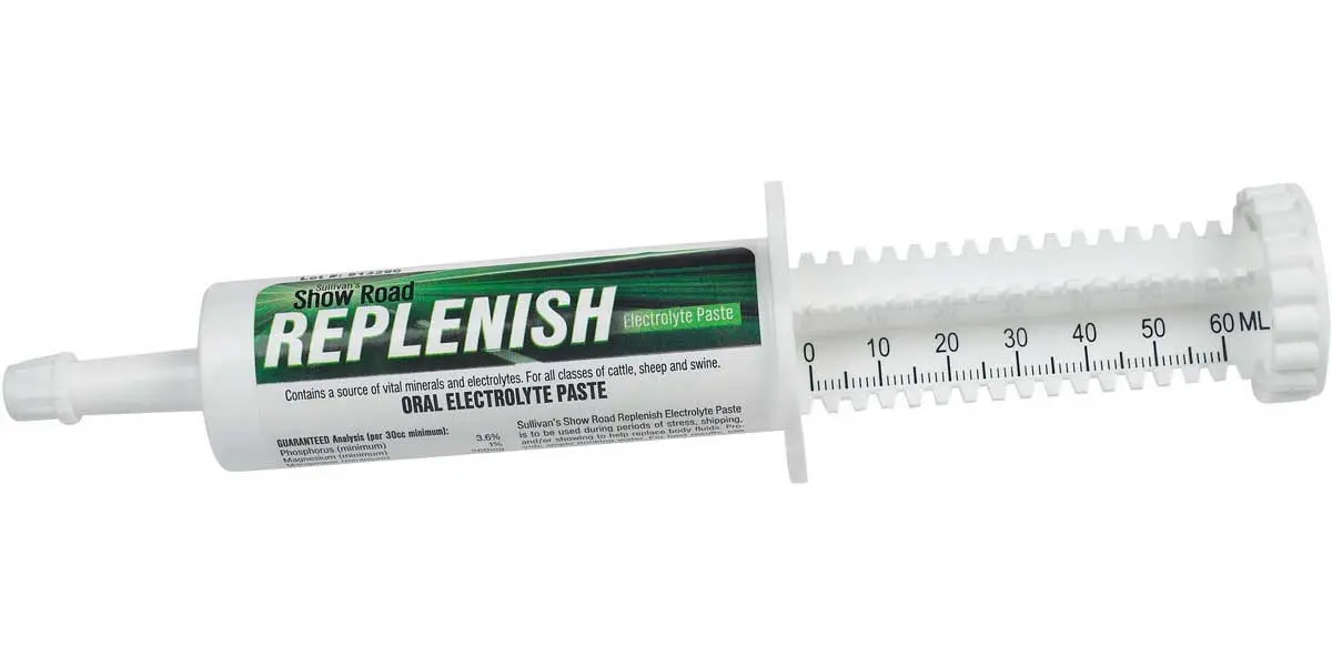 Sullivan's Show Road Replenish Electrolyte Paste 1