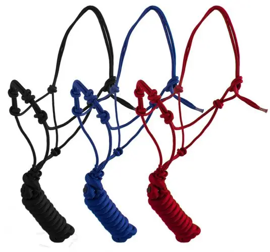 Blue Halter W/ Training Knots - Yearling 1
