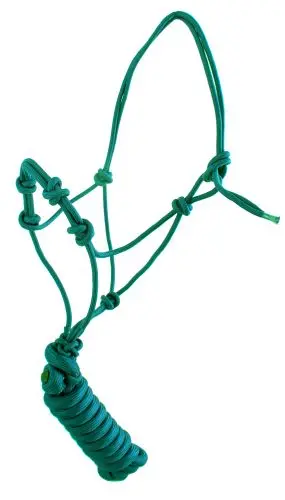 Teal Halter W/ Training Knots - Yearling 1