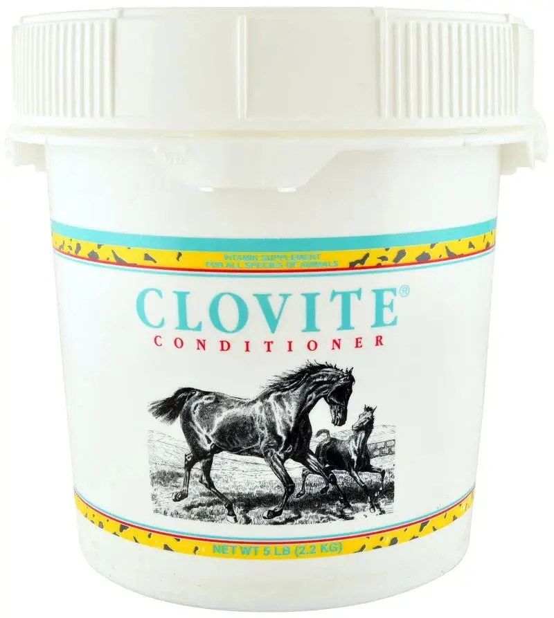 Clovite® Conditioner 5 Lb 1