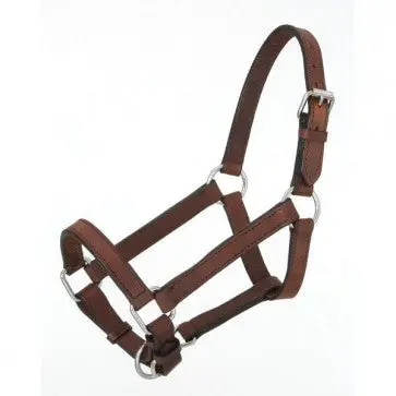 Brown Leather Halter Horse 1