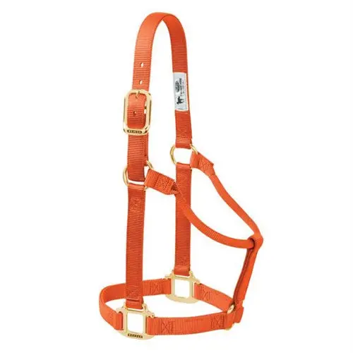 Original Non-Adjustable Halter 1" - Large Orange 1