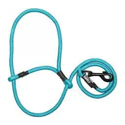 Sheep Halter With Snap Lead - Teal (Blue Tide) 1