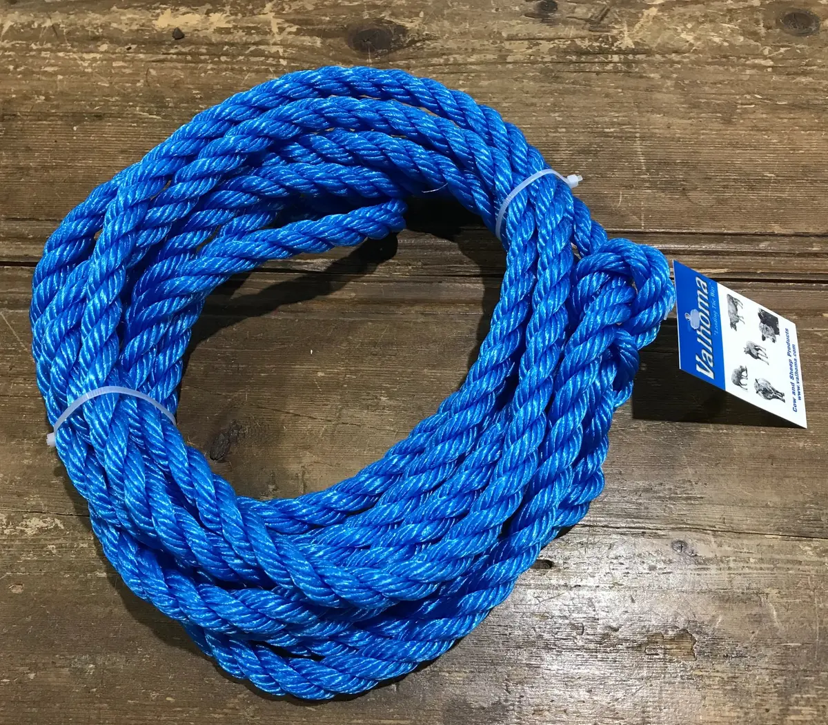 Halter - Sheep Holding - Blue 1