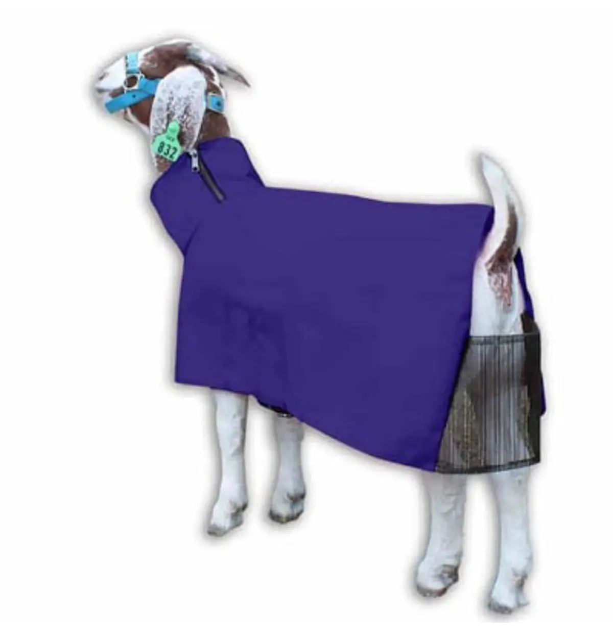 Goat Blanket, Nylon, Large, Purple 1