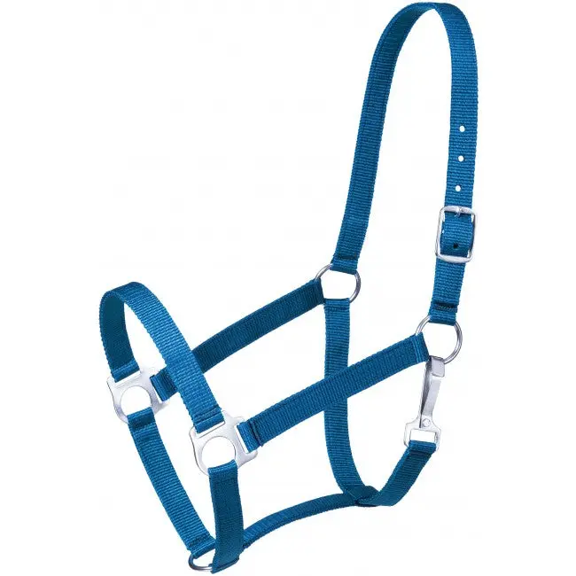 Turquoise Economy Nylon Halter Yearling 1