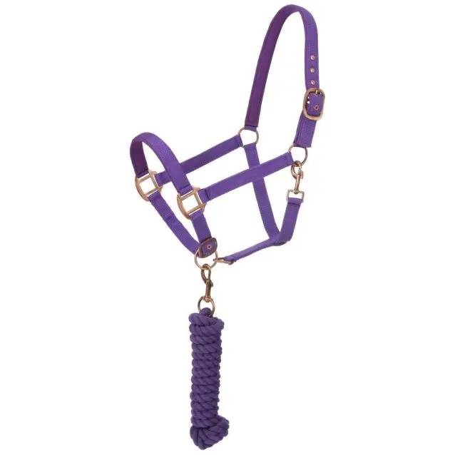 Purple - Neoprene Padded Halter With Lead Set 1