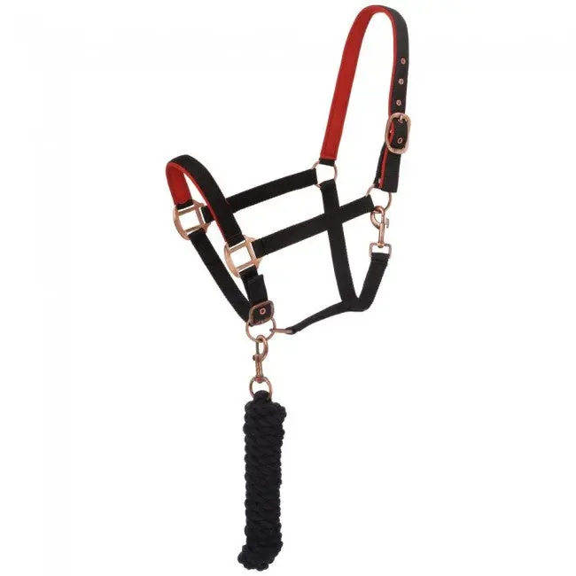 Black - Neoprene Padded Halter With Lead Set 1