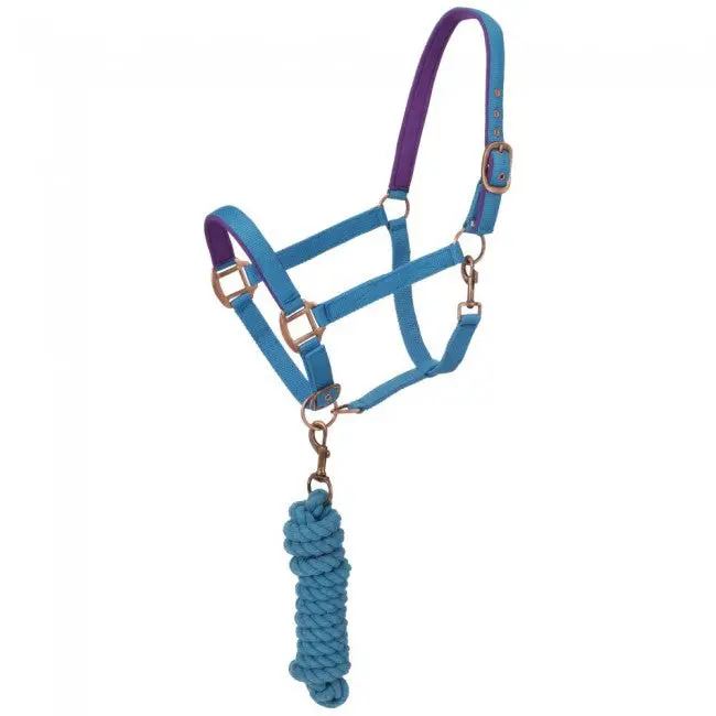 Aqua Blue - Neoprene Padded Halter With Lead Set 1
