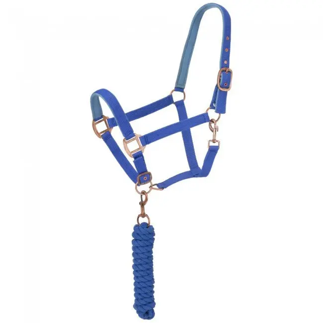 Royal Blue - Neoprene Padded Halter With Lead Set 1