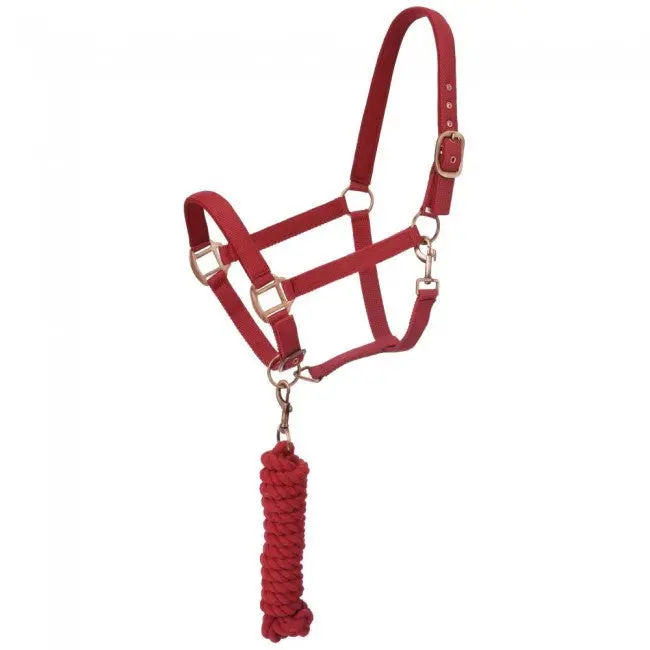 Red - Neoprene Padded Halter With Lead Set 1