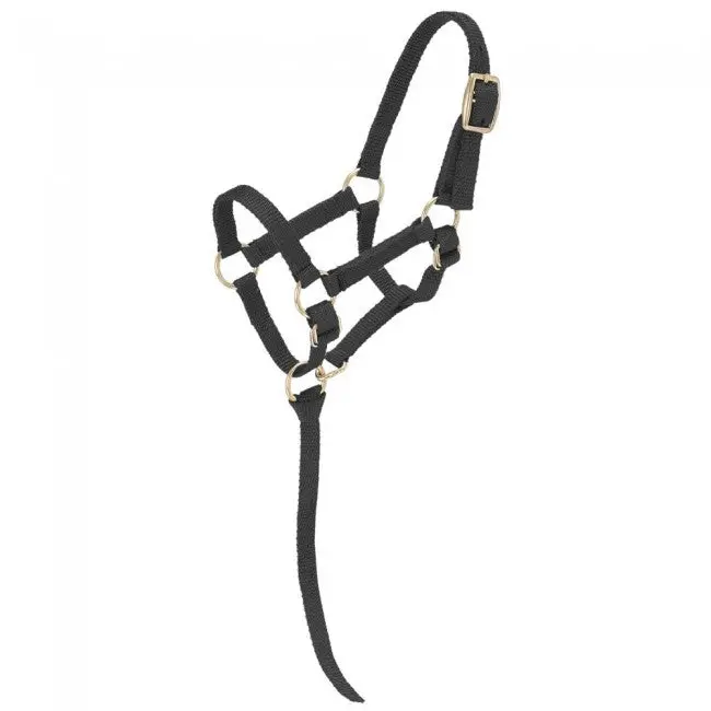 Tough-1 Miniature Nylon Halter  Mini Regular 1