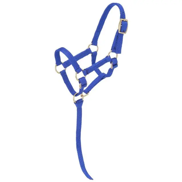 Tough1 Miniature Nylon Padded Halter - Small - Royal Blue 1