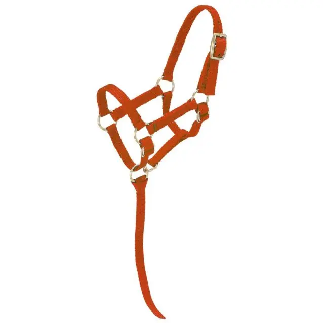 Tough1 Miniature Nylon Halter - Large - Red 1