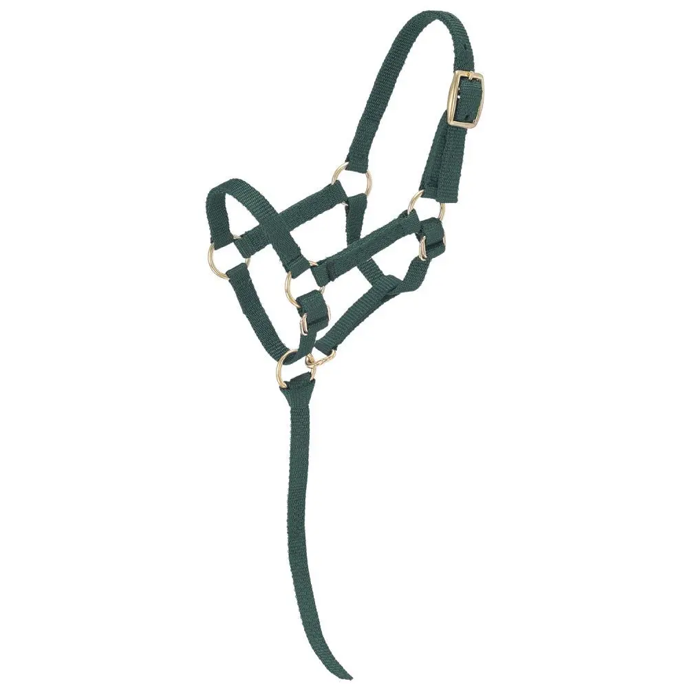Tough1 Miniature Nylon Halter - Large - Hunter Green 1