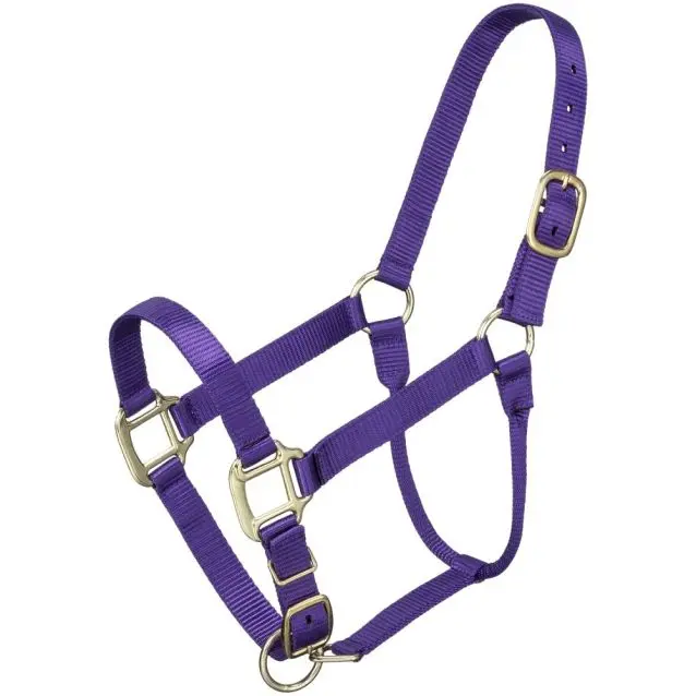 Tough1 Premium Halter - Yearling 1