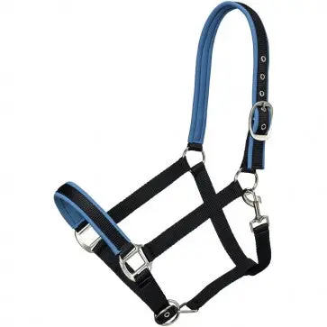 Tough1 Neoprene Padded Nylon Halter - Turquoise 1