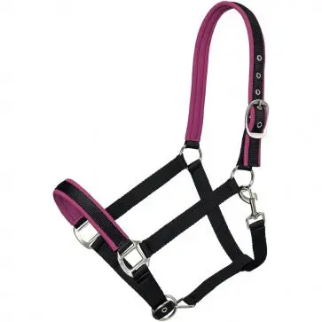 Tough1 Neoprene Padded Nylon Halter - Raspberry 1