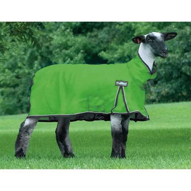 Sheep Cool Mesh Green Sm 1