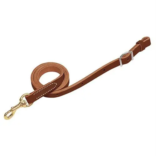 Horizons Tie Down 3/4 4X40 - Brown 1