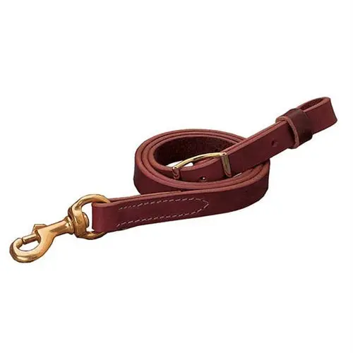 Leather Tie Down 1
