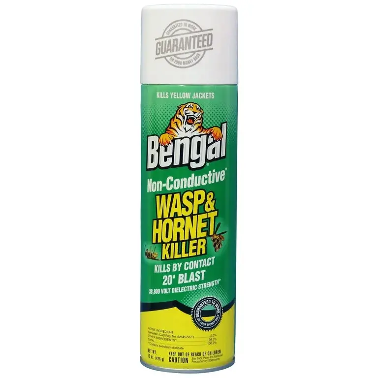 Bengal Non-Conductive Wasp & Hornet Killer 1