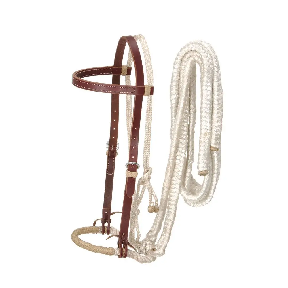 Royal King Loping Hackamore 1