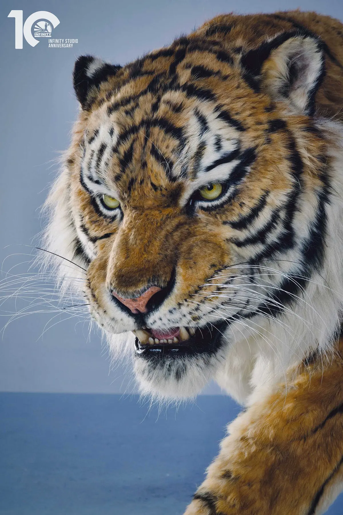 Infinity Studio Natural History Series: Siberian Tiger 1:1 Museum Level Replica 1