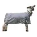 Procool Sheep Blanket With Reflective Piping Mesh Butt - Small Gray 1