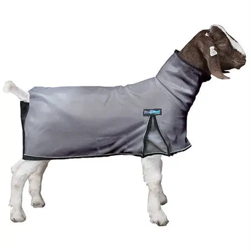 Procool Goat Blanket With Reflective Piping - Medium Gray 1