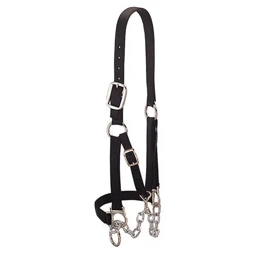 Heavy-Duty Restraint Halter, Large - Black 1