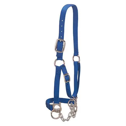 Heavy-Duty Restraint Halter, Small - Blue 1