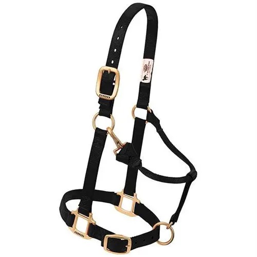 Original Adjustable Chin And Throat Snap Halter, 3/4" - Weanling/Pony Black 1