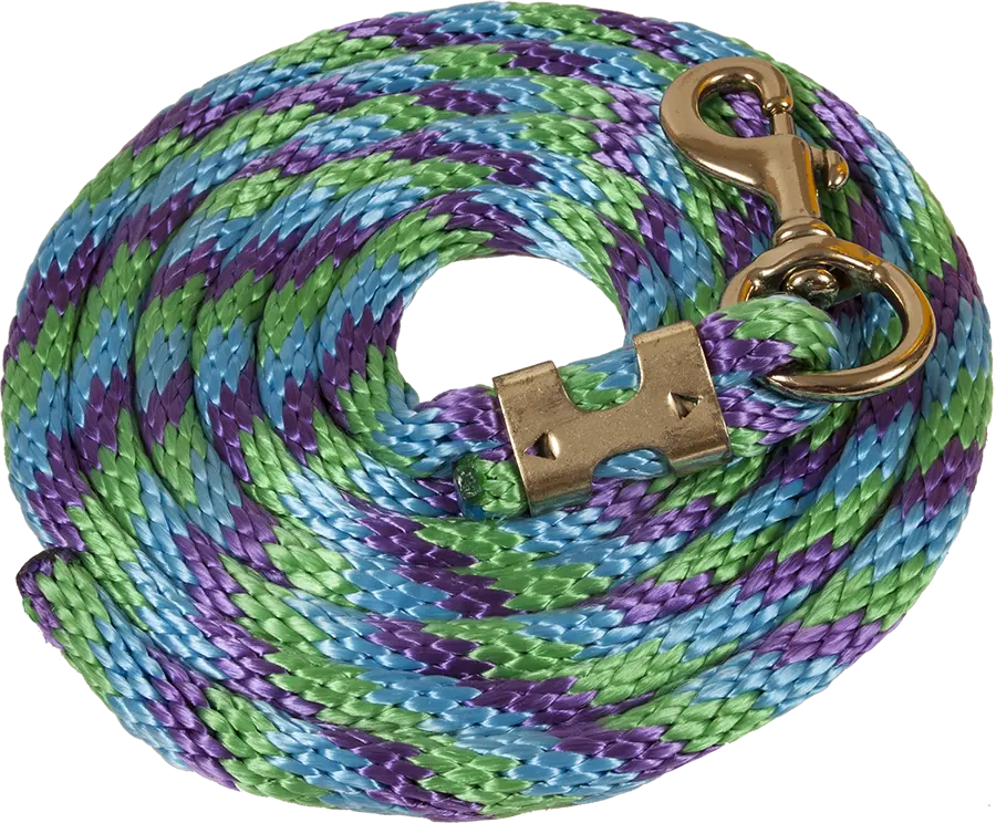 Poly Lead Rope 5/8"X 8 Bolt Snap - Kellygreen/Purple/Turq 1