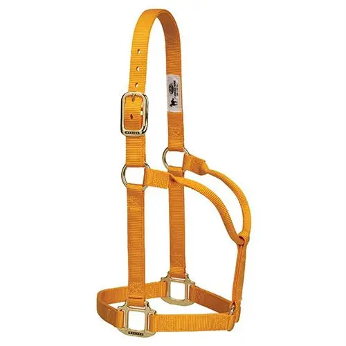 1'' Org Non -Adj Year Halter Yearling 1
