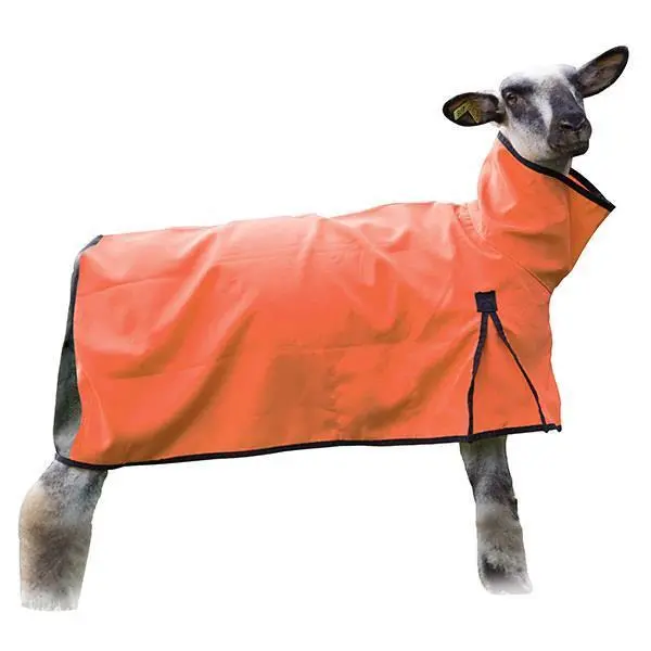 Sheep Cool Mesh Orange Sm 1