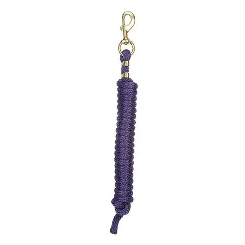 Poly Lead Rope With A Solid Brass 225 Snap - Purple 1