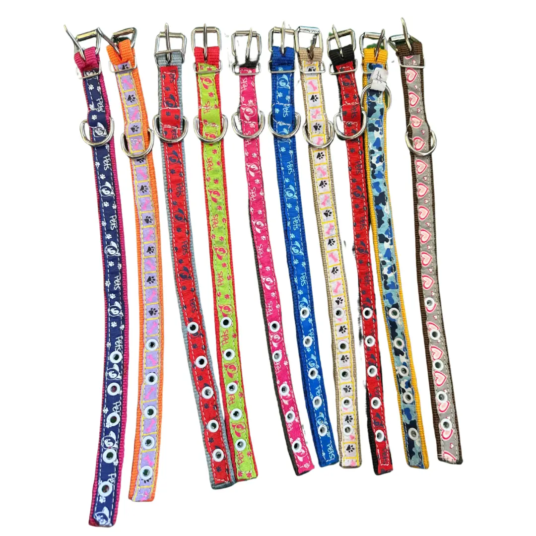 Economy Nylon Dog Collar - Xs 1