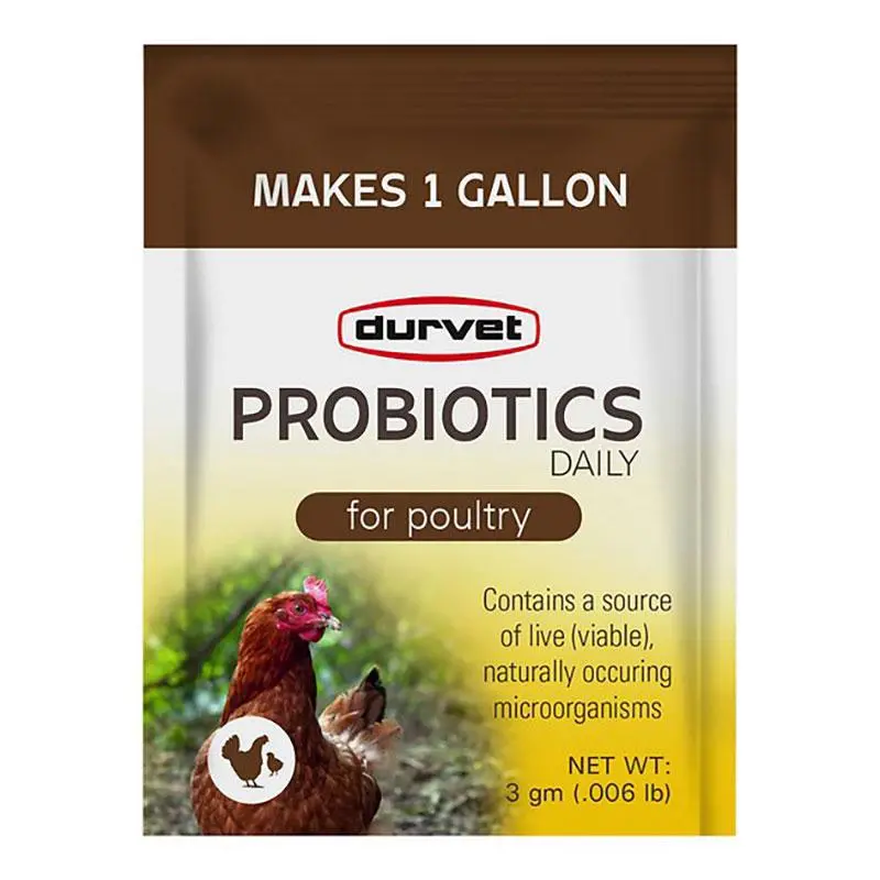 Probiotics Daily For Poultry 1
