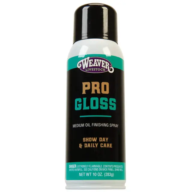 Progloss Finishing Spray - 10 Oz 1