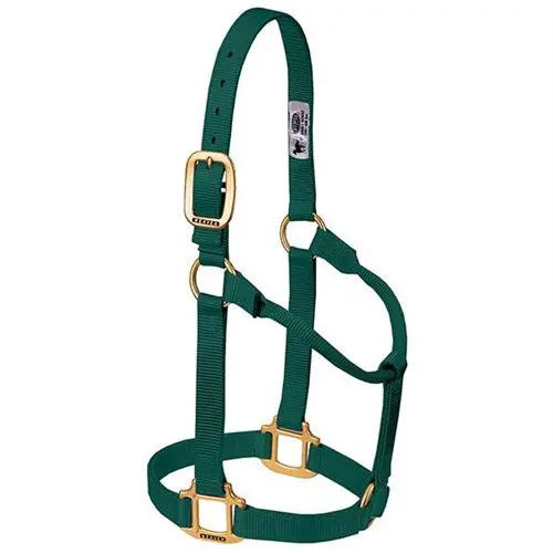 Original Non-Adjustable Halter 1" - Large Hunter Green 1
