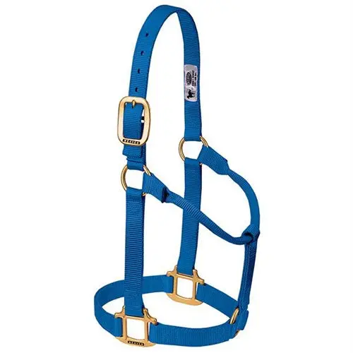 Original Non-Adjustable Halter 1" - Small Blue 1