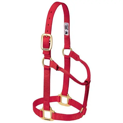 Original Non-Adjustable Halter 1" - Small Red 1